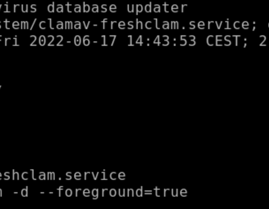 debian-clamav-db-update-service.png